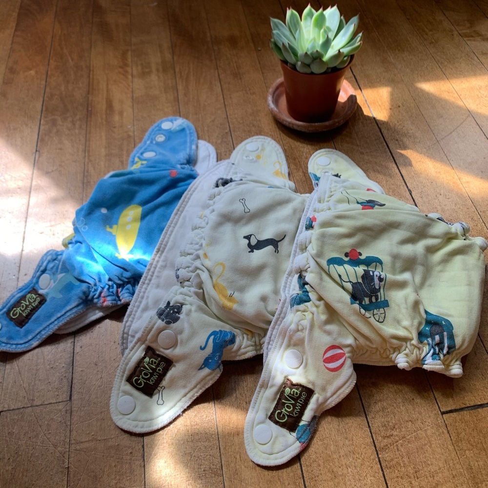 3 Grovia Kiwi pies!!